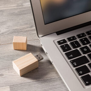 USB Madera de la Selva Negra