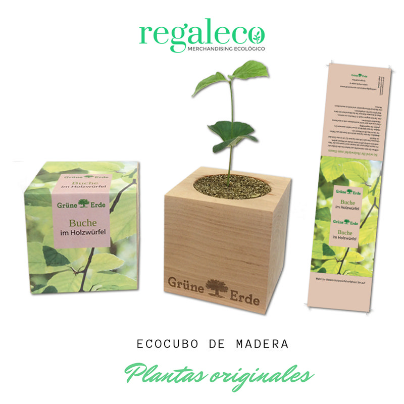 Ecocubo semillas - Imagen 2