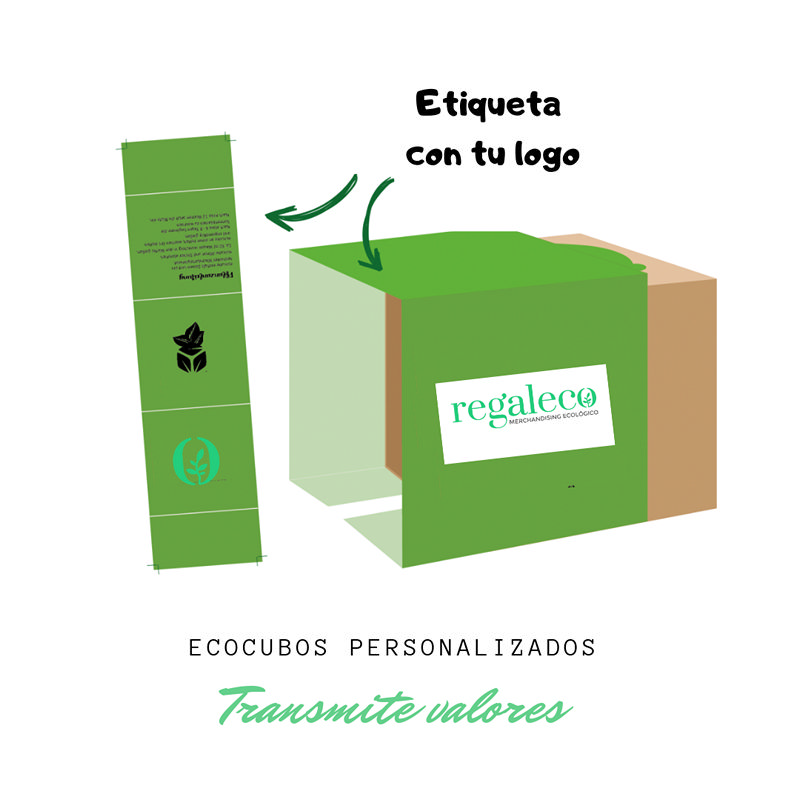Ecocubo semillas - Imagen 4