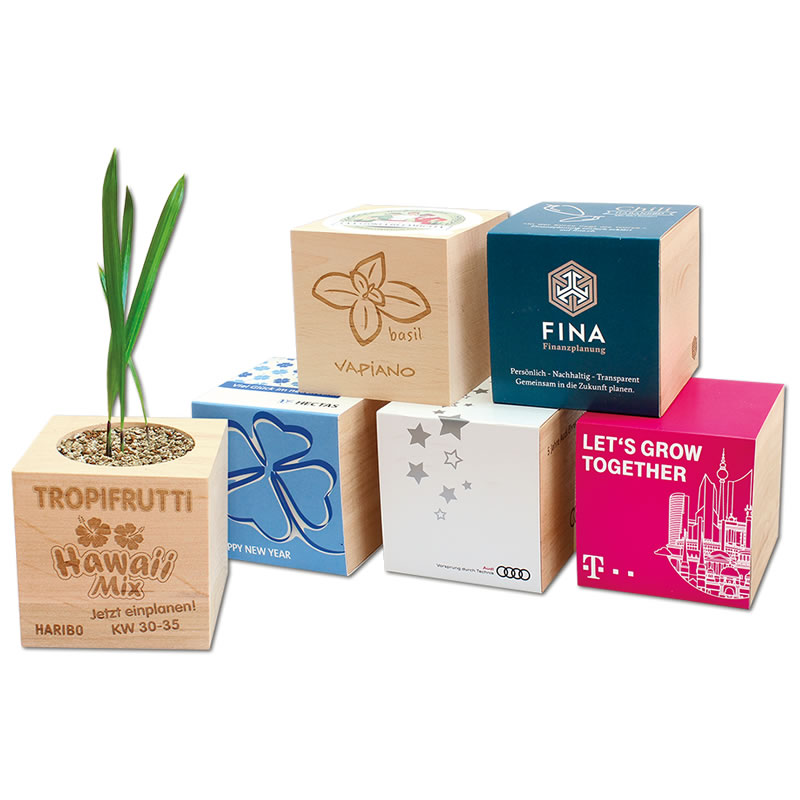 Ecocubo semillas