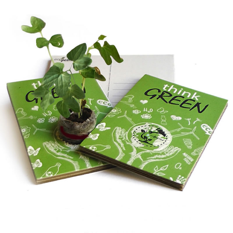 Eco-postales con semillas