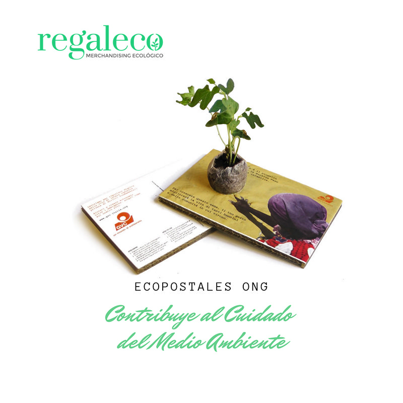 Eco-postales con semillas - Imagen 2