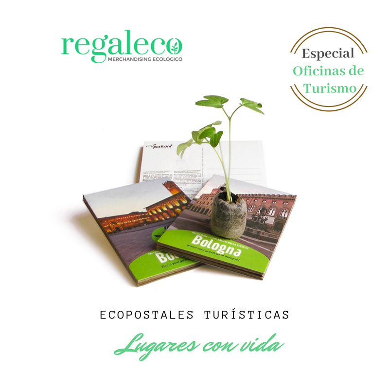 Eco-postales con semillas - Imagen 4
