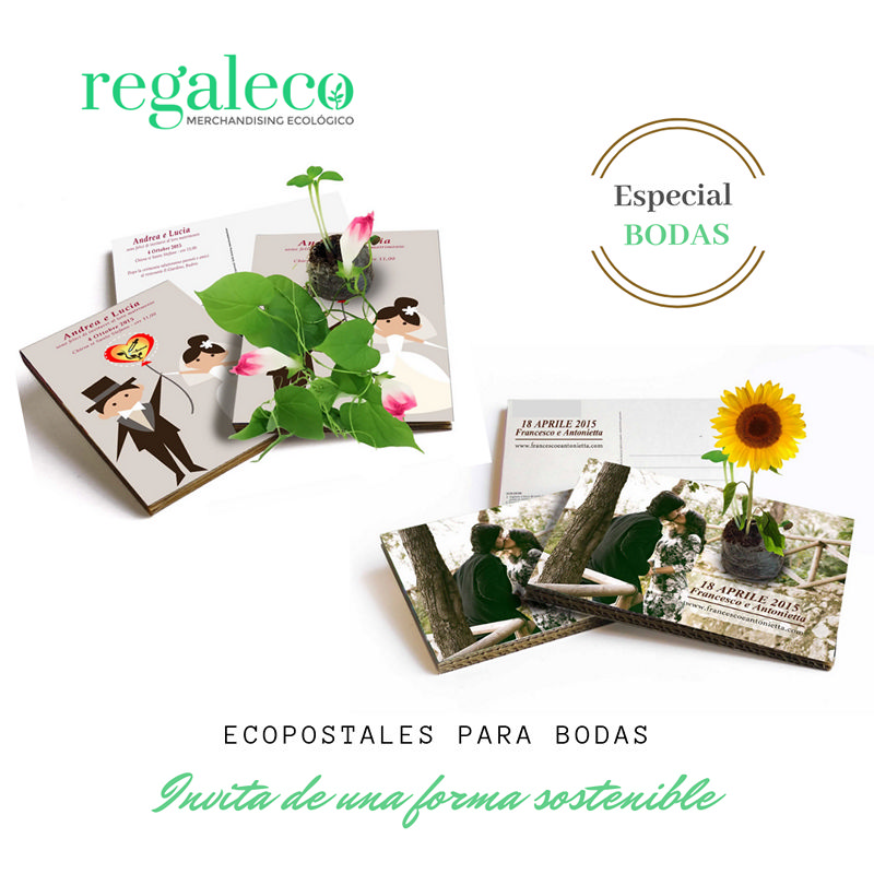 Eco-postales con semillas - Imagen 5