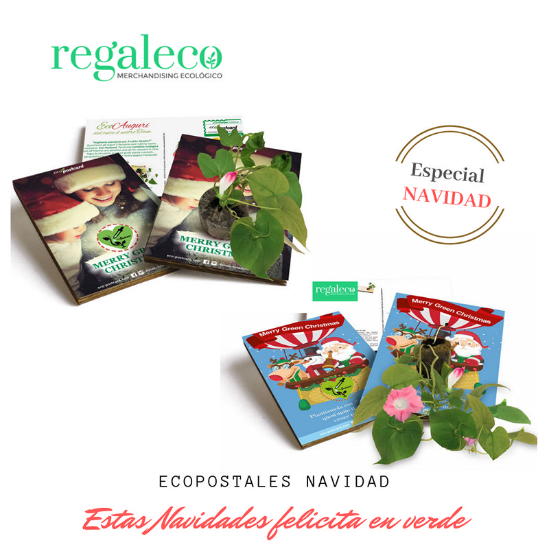 Eco-postales con semillas - Imagen 6