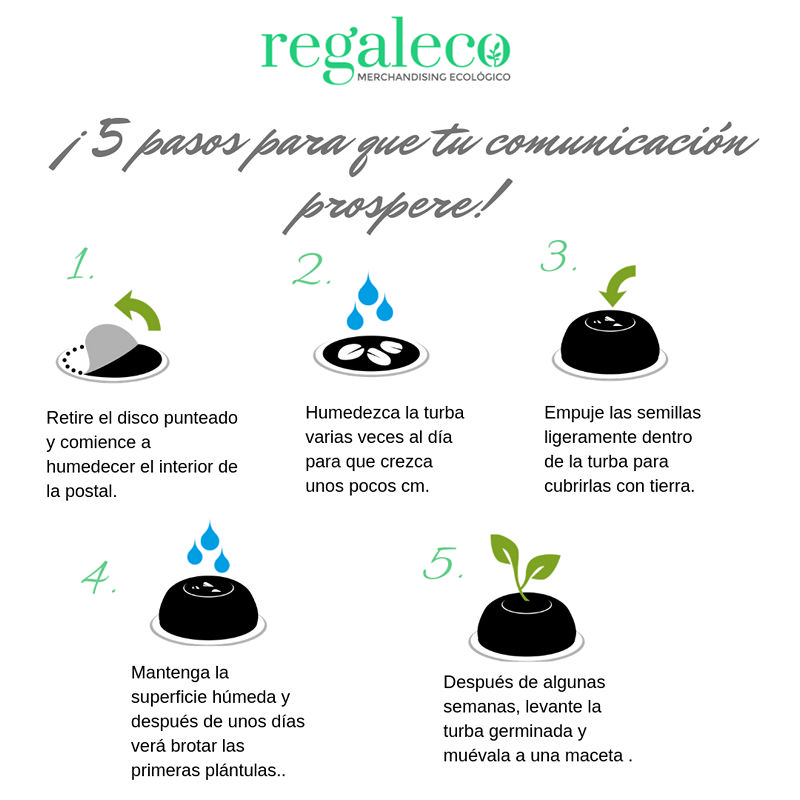 Eco-postales con semillas - Imagen 7