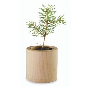 Mini macetero redondo de madera con semillas