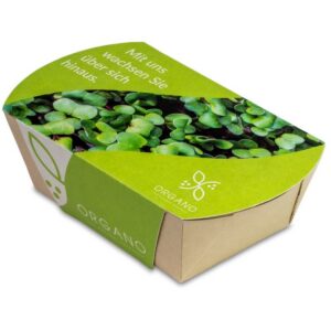 Mini eco-jardín