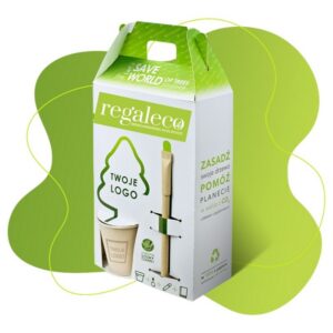 SET ecológico FSC para eventos