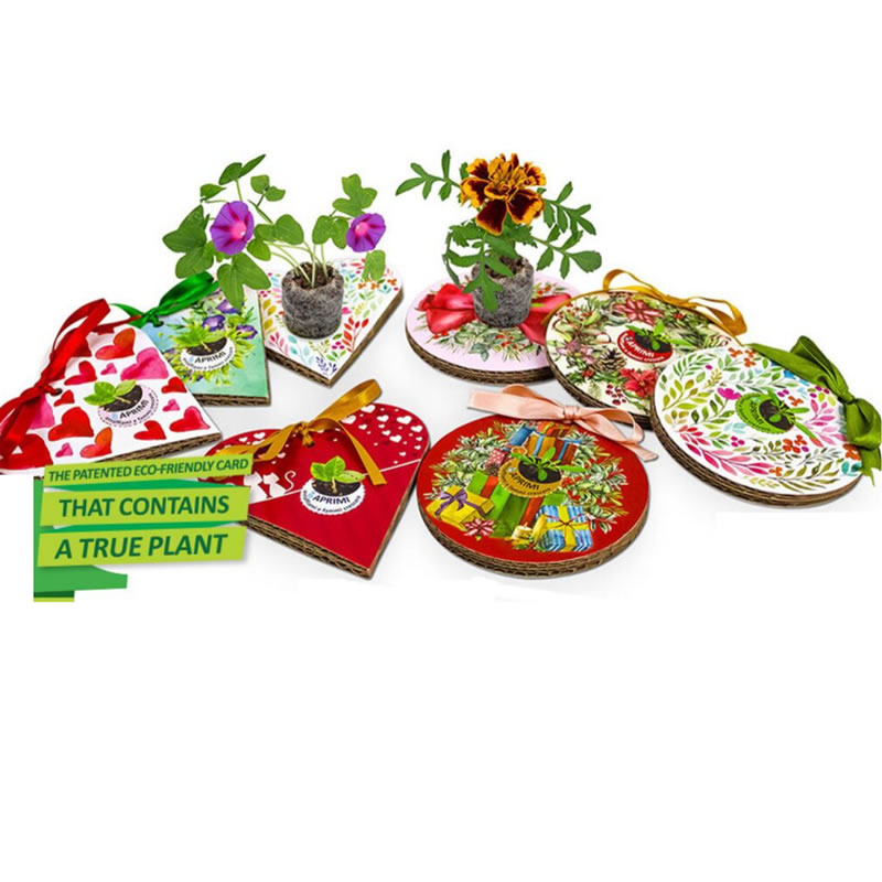 Tarjetas de regalo con semillas