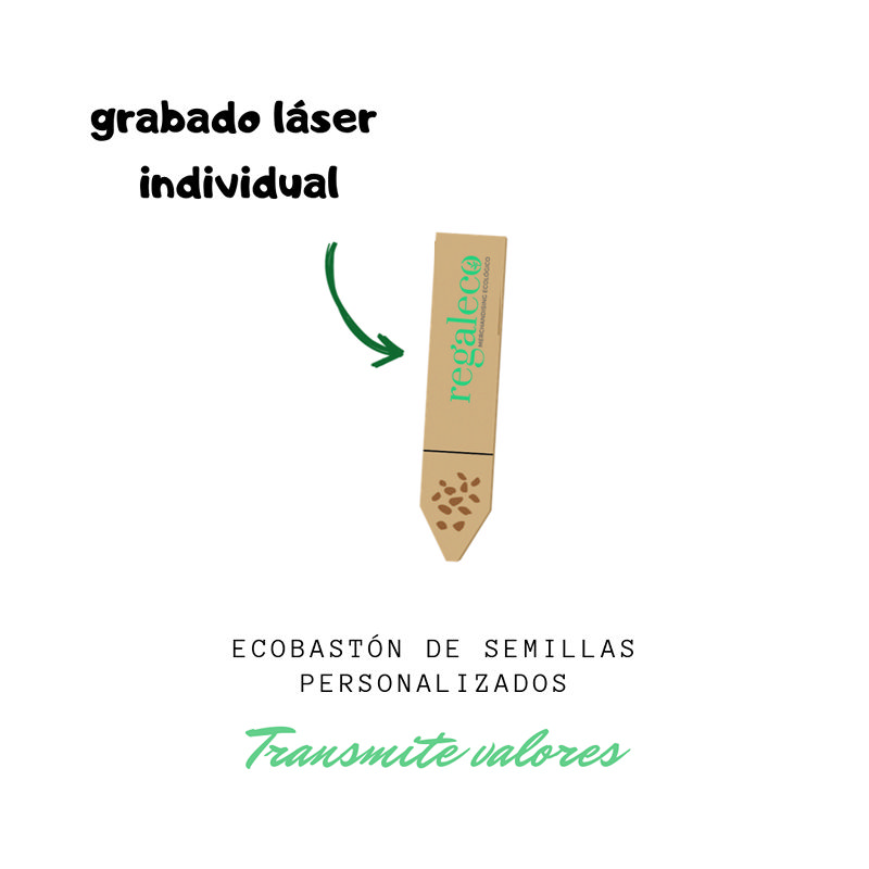 Ecobastón de semillas - Imagen 2