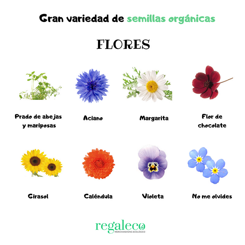 Ecobastón de semillas - Imagen 4
