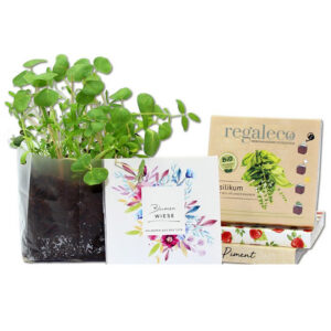 Eco jardín instantáneo