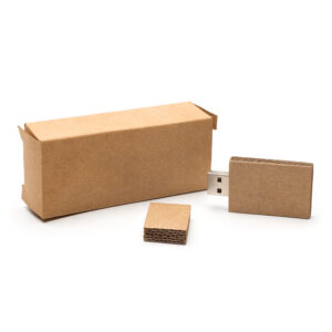 USB cartón con caja